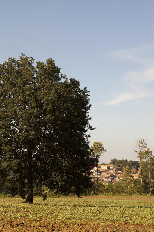 Agriturismo Creta Rossa Торре-Де-Руджеро Экстерьер фото